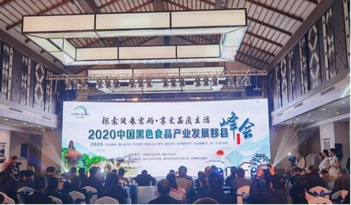 2020中國黑色食品產(chǎn)業(yè)發(fā)展黟縣峰會成功舉辦 推動產(chǎn)業(yè)創(chuàng)新與數(shù)字化轉(zhuǎn)型